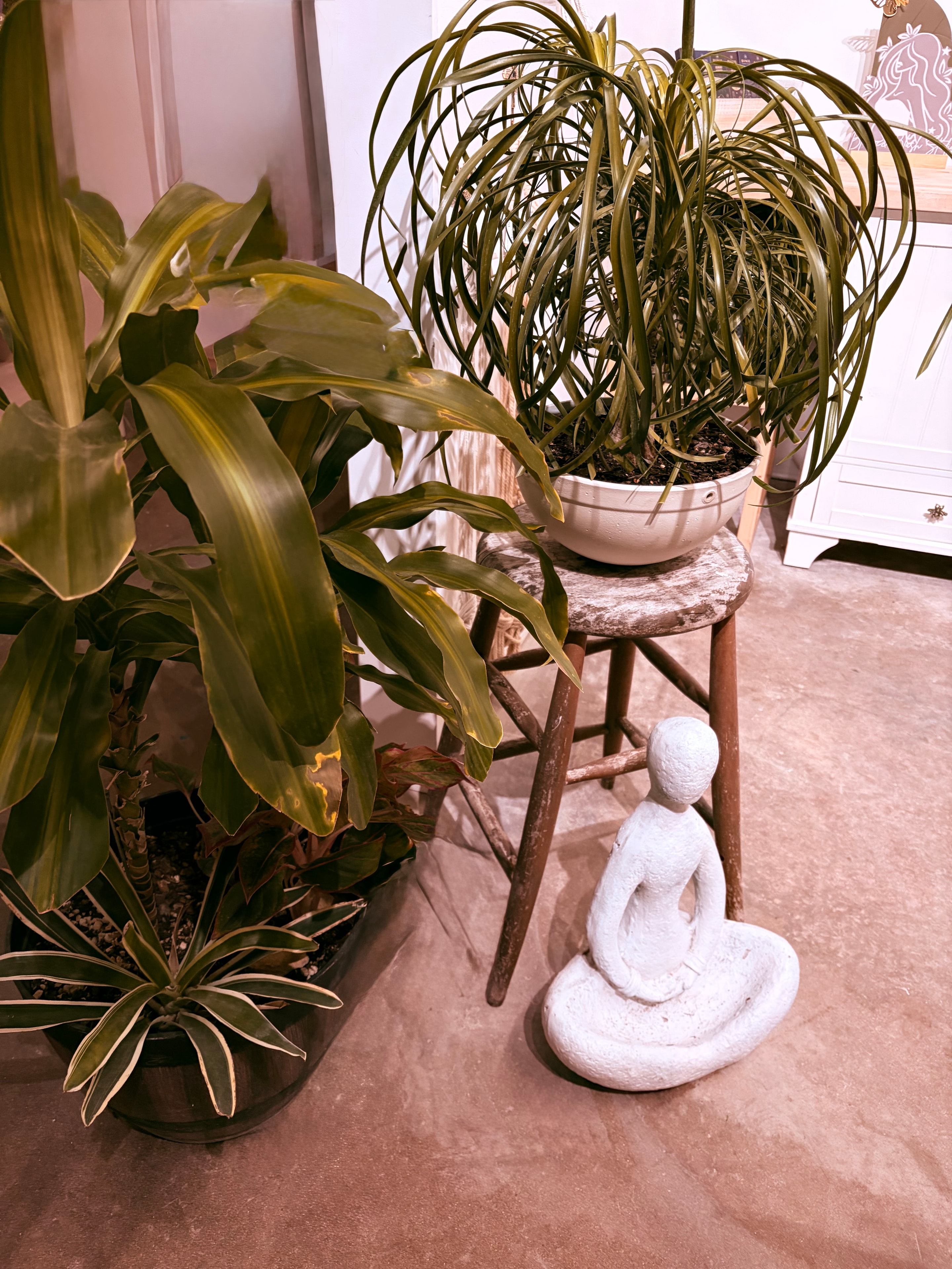 Bouquets and floral supplies at the Bloom & Blush studio counter